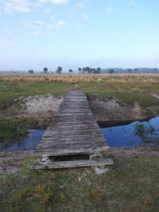 boardwalk