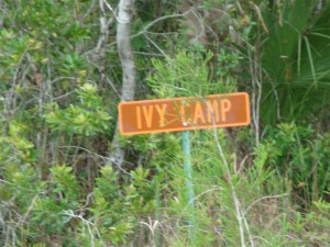 ivy%20camp