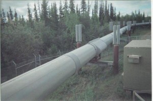 the%20early%20partof%20an%20800%20mile%20pipeline