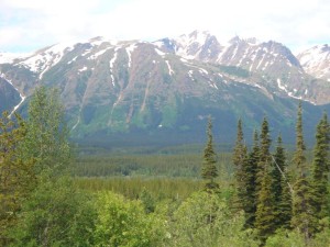 mountains%20and%20forests