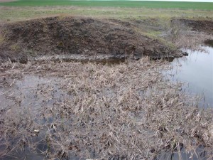 flooding%20in%20a%20wheat%20field