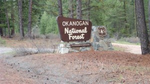 okangan%20forest%20washington